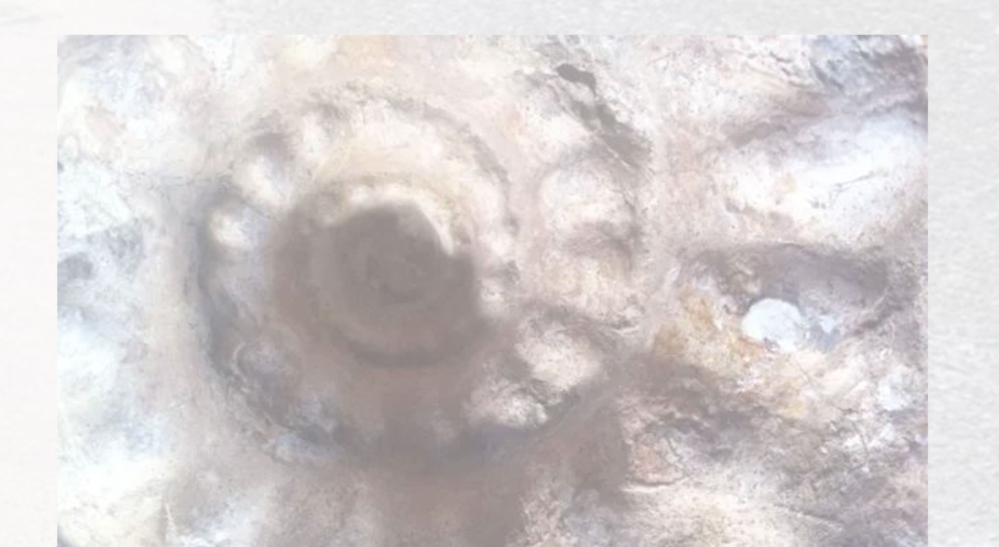 1580475796875309.jpg